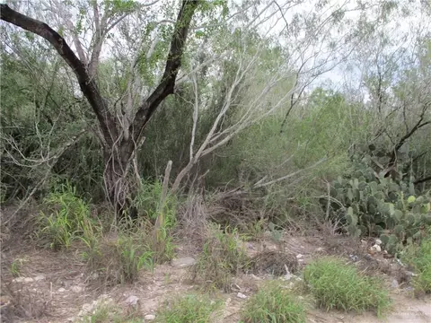 217 Charco Blanco Rd, Rio Grande City, TX 78582