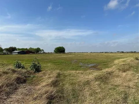 20818 Pomelo Rd, Santa Rosa, TX 78593