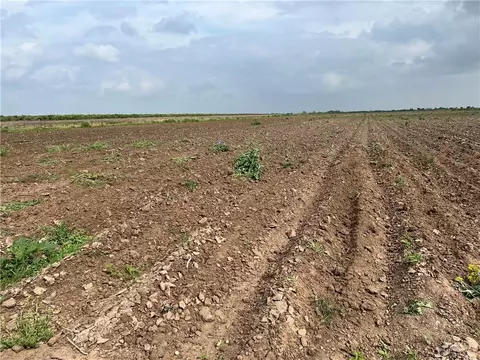 Tbd N Coolidge Road, Hargill, TX 78549