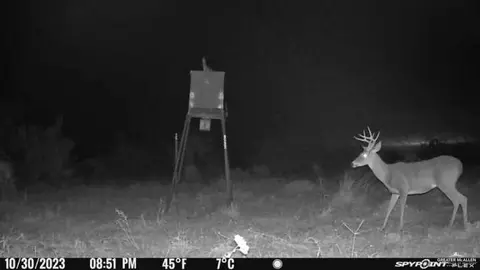 Tbd Fm 1418, Falfurrias, TX 78355