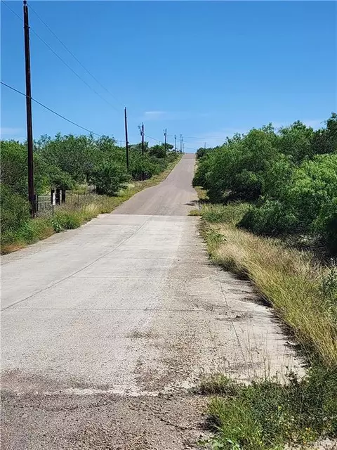 000 Chele Rd, Falcon Heights, TX 78545