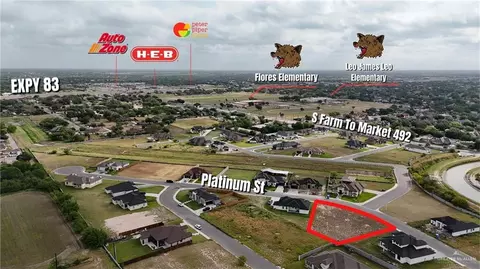1104 Platinum St, Palmview, TX 78572