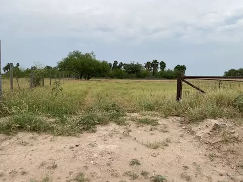 17925 Wallace Rd, Edinburg, TX 78541