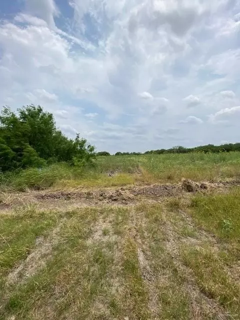 00 N Bridge St N, Weslaco, TX 78599