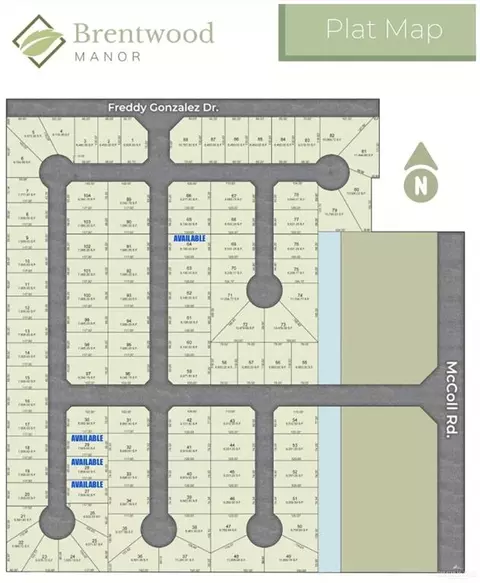 1812 S Middleton St, Edinburg, TX 78539