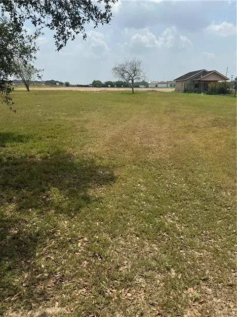 0 Raul Longoria Rd, Edinburg, TX 78542