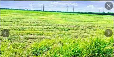 0 Rio Grande Care Rd, Edinburg, TX 78541