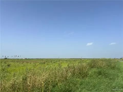 tbd Fm 490 Rd, La Sara, TX 78561