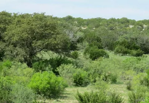 0000-12 San Julian Rd, Roma, TX 78584