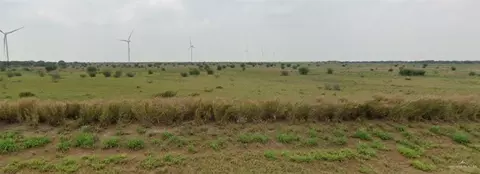 10 Farm To Market Road 490, Rio Grande City, TX 78582