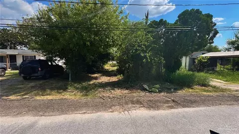 1025 W Birch Ave, Alamo, TX 78516