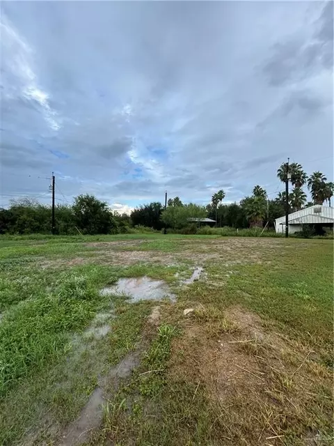120 Spanish Oak Dr, Alamo, TX 78516
