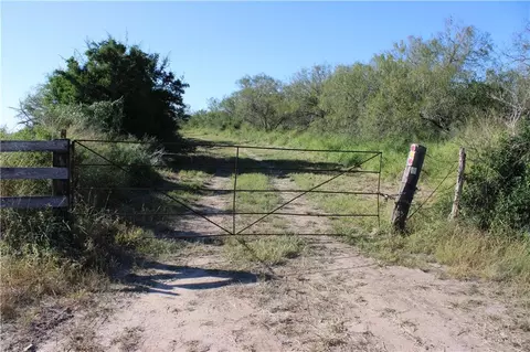 0 Fm 2295 Hwy, Palito Blanco, TX 78332