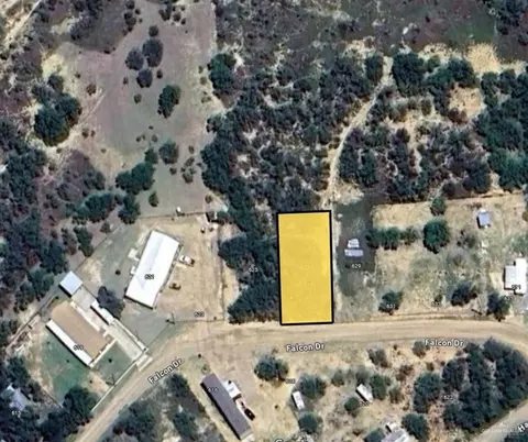 627 Falcon Dr, Zapata, TX 78076
