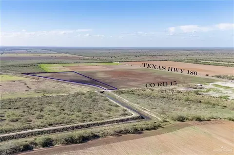 12737 Davila Rd, La Sara, TX 78561