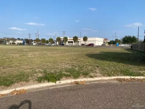 1609 Norma Ln, Edinburg, TX 78539
