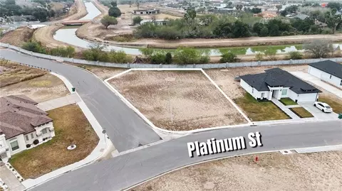 1105 Platinum St, Palmview, TX 78572