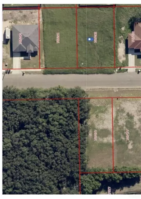 65 Sawgrass St, Weslaco, TX 78596