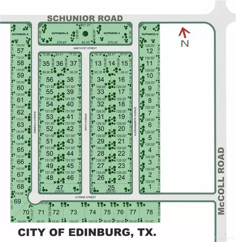 609 N Alexandrite Ave, Edinburg, TX 78541
