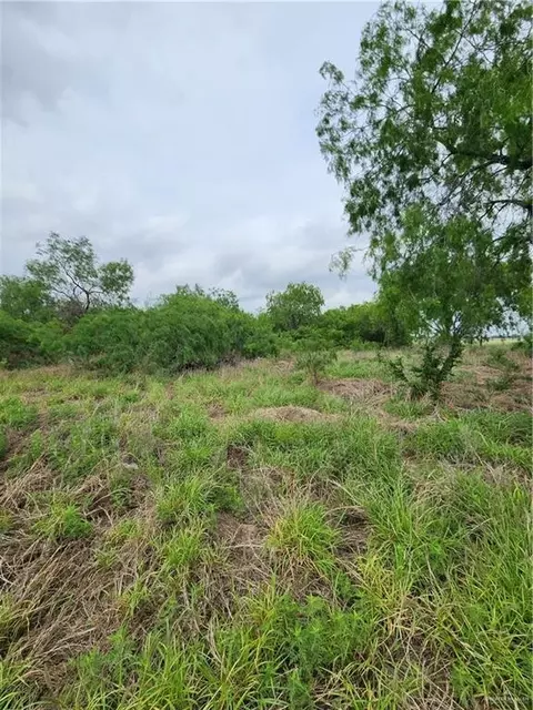 N/a Ranchito Street, Edinburg, TX 78542
