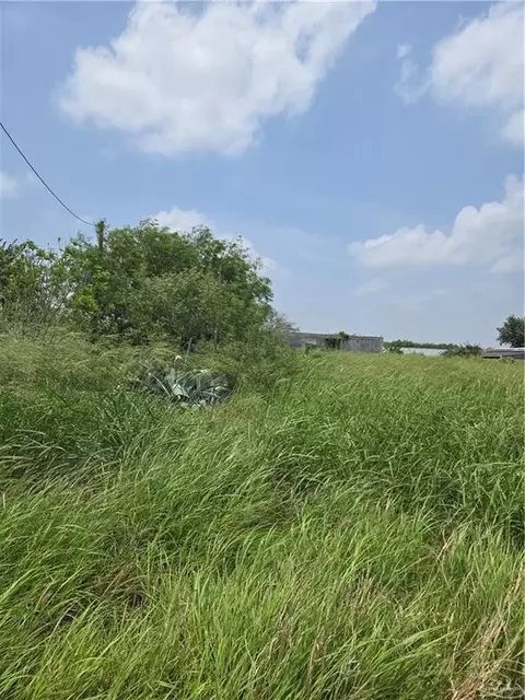 4807 Wynn Dr, Donna, TX 78537