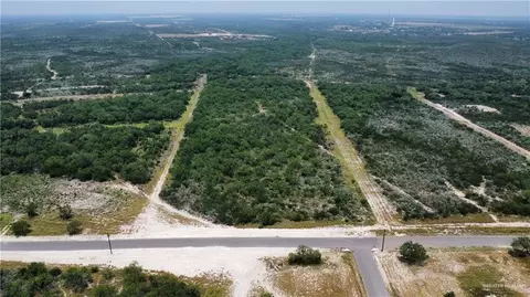 60 E Falcon Trl, Rio Grande City, TX 78582