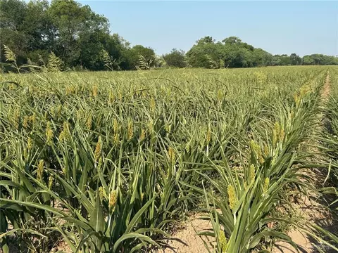 0000 S Military Rd, Penitas, TX 78576