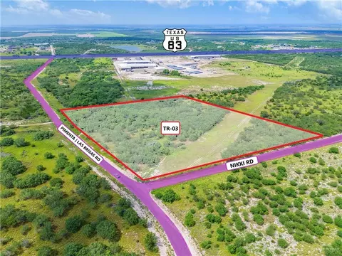 Tr 3 Pimenta Road, Rio Grande City, TX 78582
