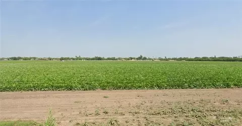 0 Nolana Loop, Alamo, TX 78516