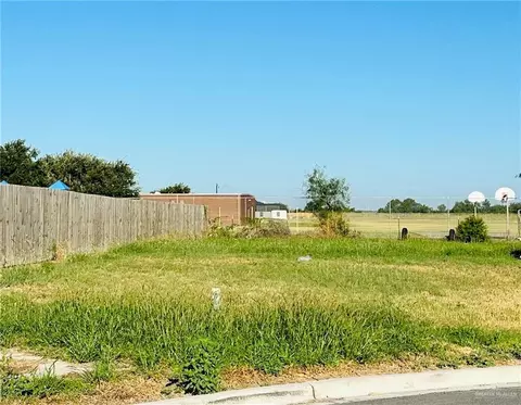 10701 Baylie Bear Dr, Edinburg, TX 78541
