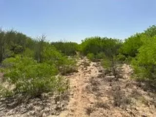 000 Cr 231, Premont, TX 78375