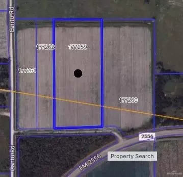 Fm 2556 Cantu Road, Santa Rosa, TX 78593