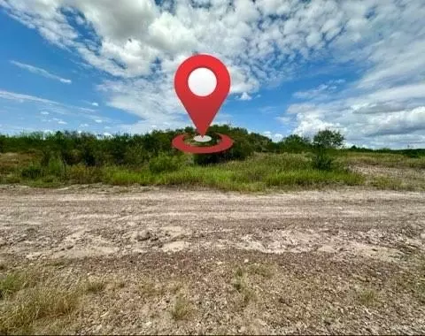 0 S Guadalupe Flores St, Sullivan City, TX 78595