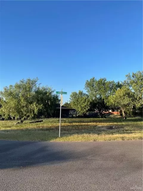 lot32 N Alvarado St, Alton, TX 78573