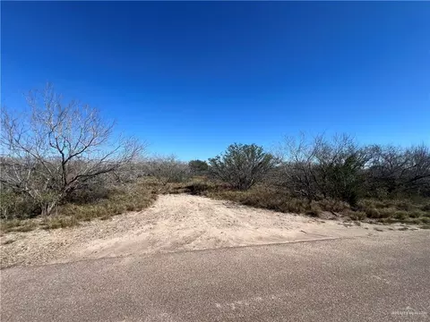 0 Los Frontones St, Rio Grande City, TX 78582