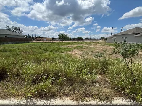 104 Palm Dr, La Joya, TX 78560