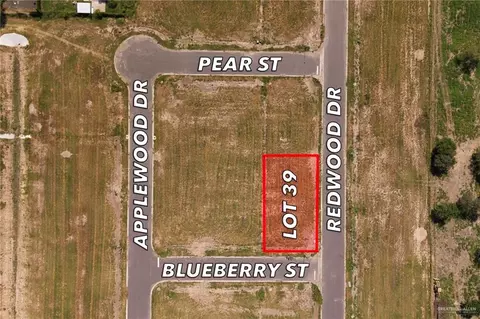 0039 Blueberry St, Weslaco, TX 78596