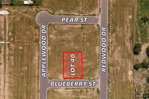 0040 Blueberry St, Weslaco, TX 78596