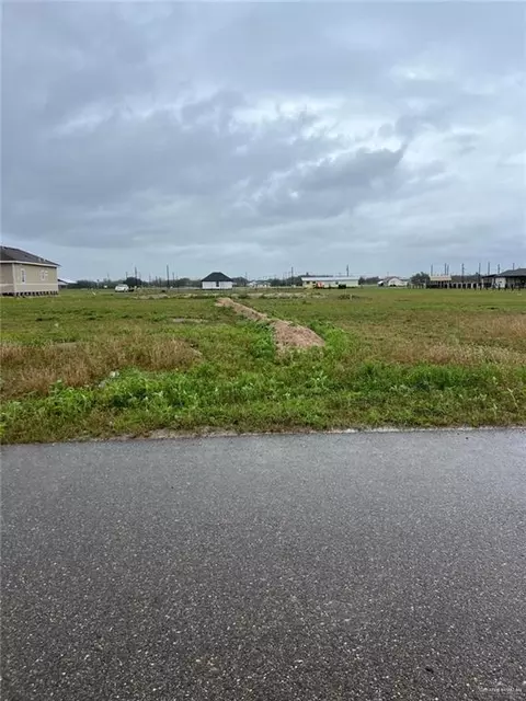 10507 Crocosmia Ln, Elsa, TX 78538