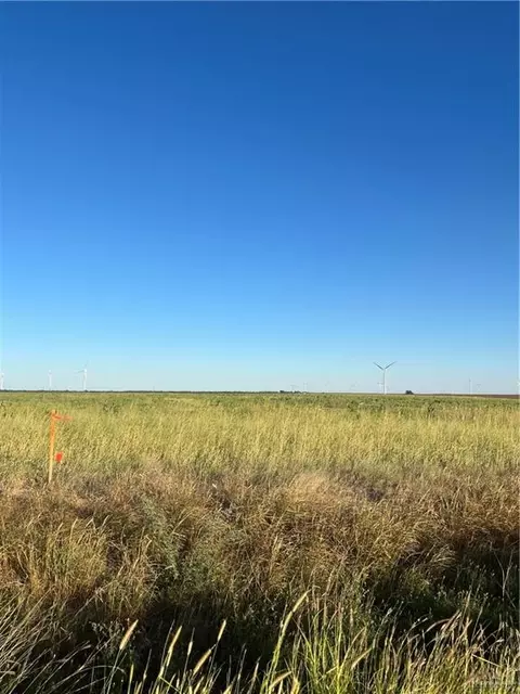 tbd Fm 681 St, Mccook, TX 78542