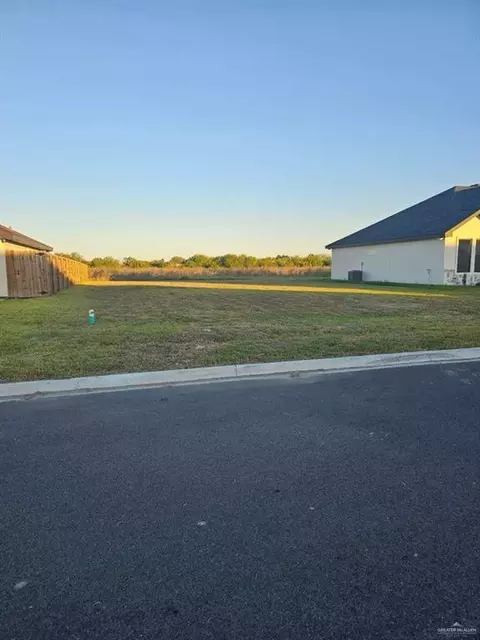 1020 Broken Arrow Dr, Alamo, TX 78516