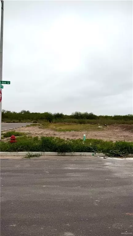0 E Tamarindo Ave, Hidalgo, TX 78503