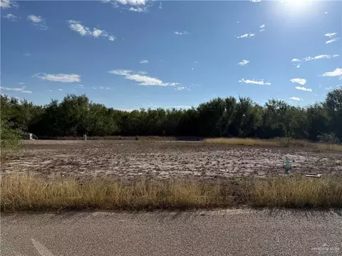 5101 Blackbird St, Rio Grande City, TX 78582