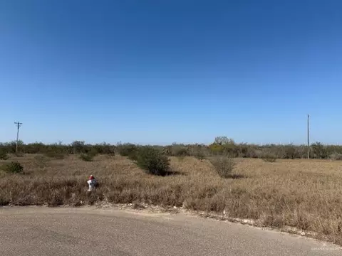 00 Eisenhower Rd, Rio Grande City, TX 78582