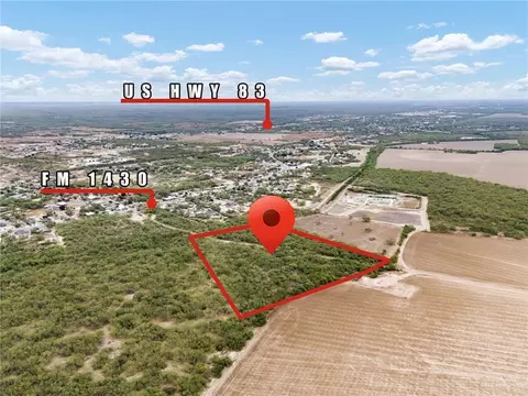 Tr 2 & 3a Fm 1430, Rio Grande City, TX 78582