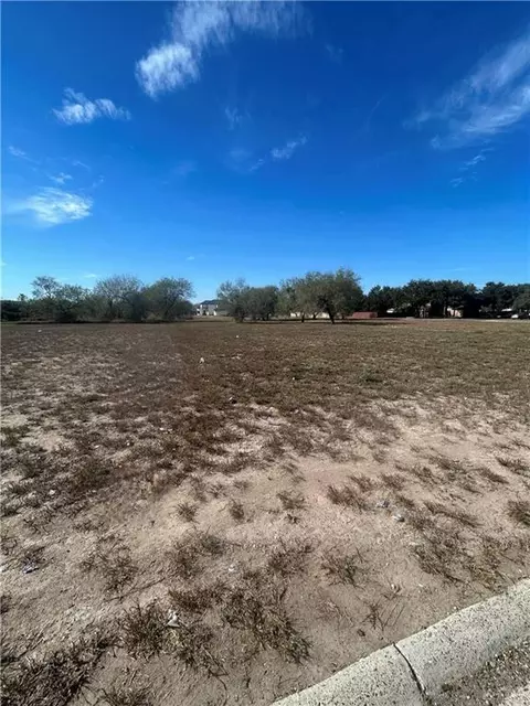 00 Country Estates Dr, Rio Grande City, TX 78582