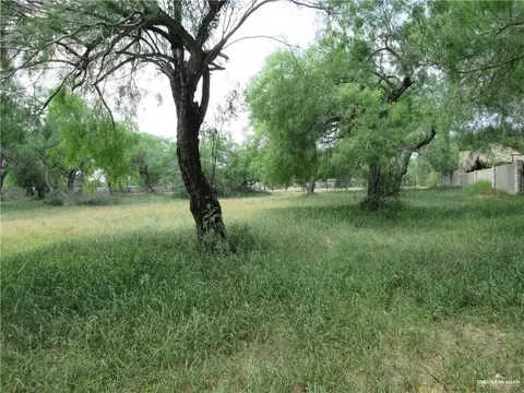 972 S Kika De La Garza Blvd, La Joya, TX 78560