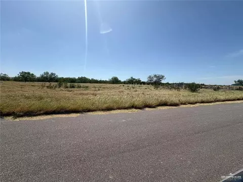 123 Woodlands Dr, Rio Grande City, TX 78582