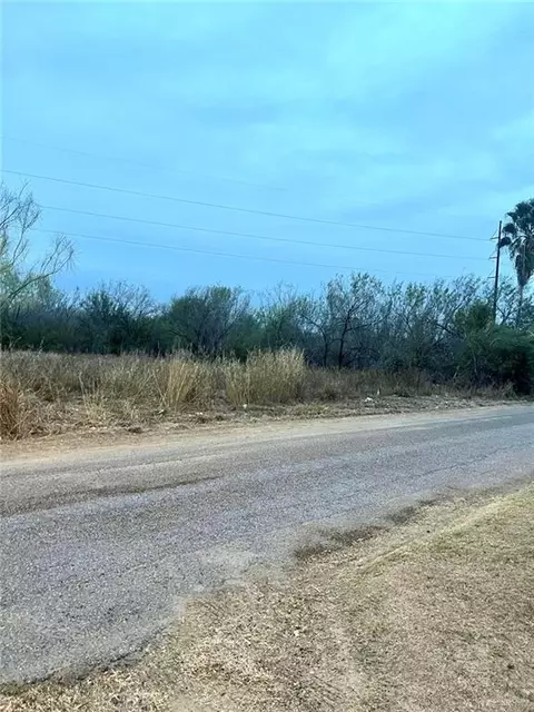 312 E Dolphin St, Roma, TX 78584