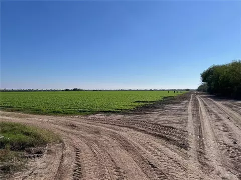 002 S Cage Blvd, Pharr, TX 78577 photo 31